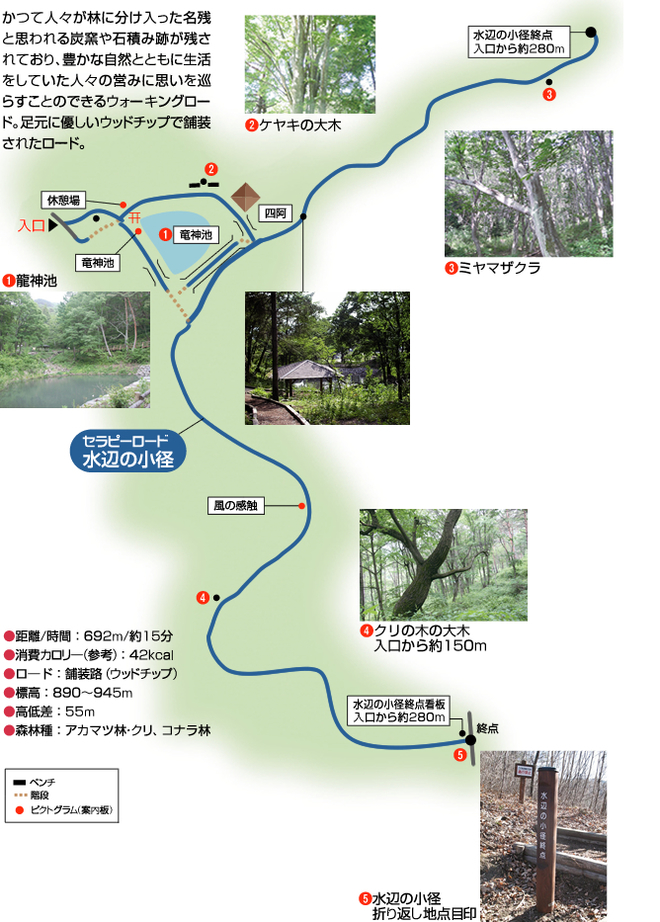 水辺の小径のロードマップ。かつて人々が林に分け入った名残と思われる炭窯や石積み跡が残されており、豊かな自然とともに生活をしていた人々の営みに思いを巡らすことのできるウォーキングロード。