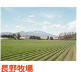 長野牧場（外部サイト）