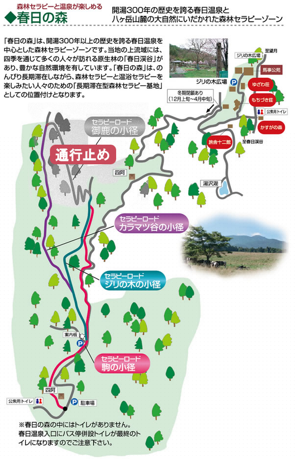 春日の森は、開湯300年以上の歴史を誇る春日温泉と八ヶ岳山麓の大自然にいだかれた森林セラピーゾーンです。