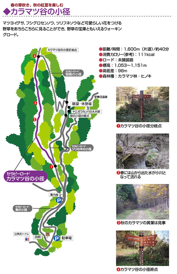 カラマツ谷の小径
