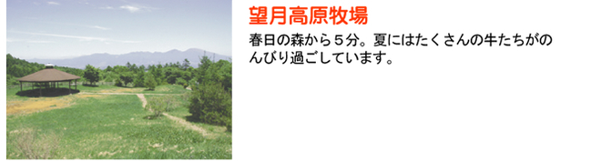 望月高原牧場