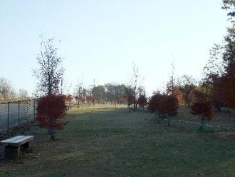 うな沢公園風景画像