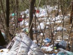 内山地区の不法投棄の写真