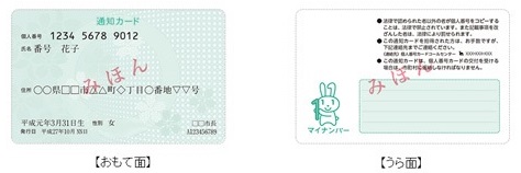 通知カードの見本