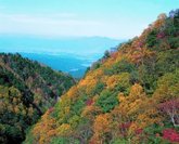 春日渓谷の風景画像
