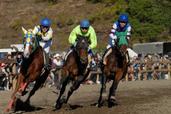 望月駒の里草競馬大会の様子