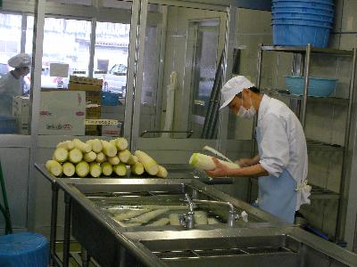 大根を洗う様子