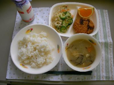 お皿に盛り付けられた給食