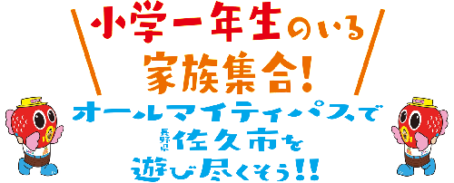 オールマイティパスのチラシ画像