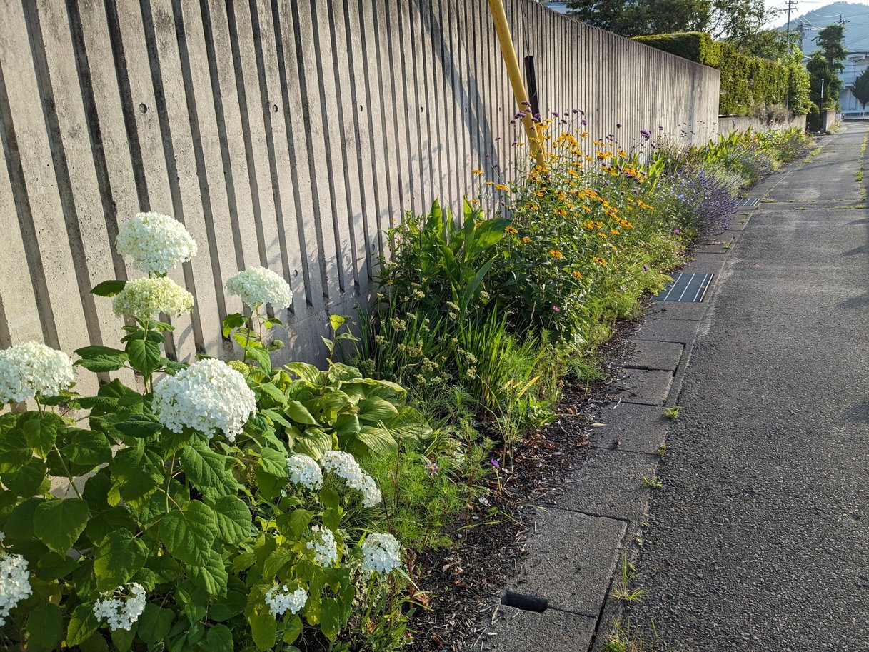 「みどりのこびと」の活動写真