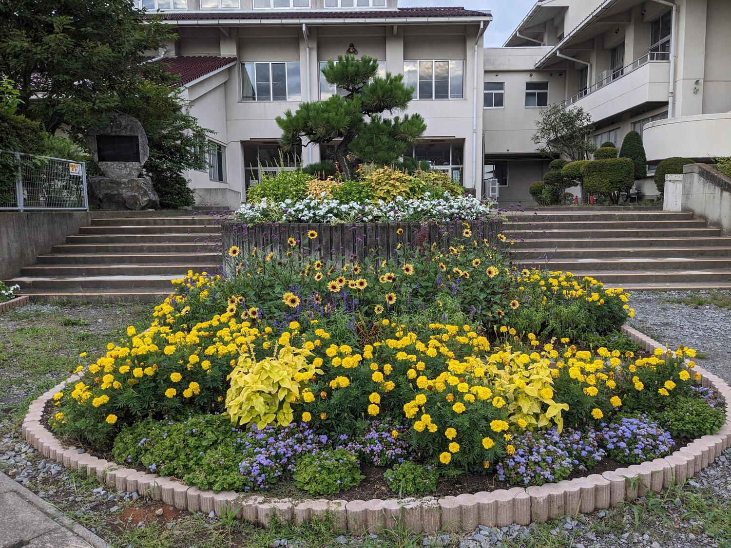 hiranesyiu