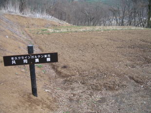 共同農園