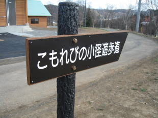 こもれびのこみち遊歩道1