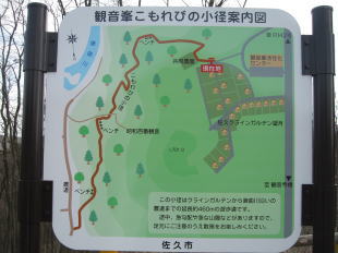 こもれびのこみち遊歩道6