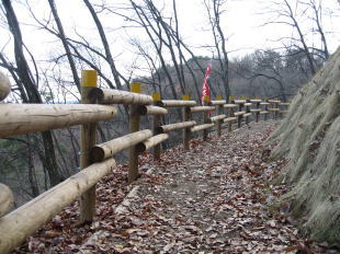 こもれびのこみち遊歩道5