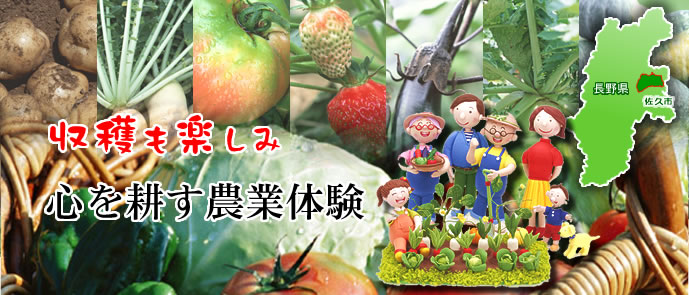 収穫野菜のイメージ