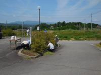 共有地の草刈り作業1