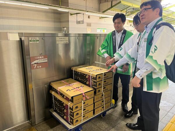 オータムキュート