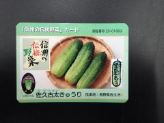 信州の伝統野菜カード　佐久古太きゅうり