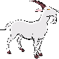 ヤギのイラスト