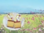 日野屋岩村田