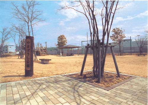 やまぼうし公園の画像