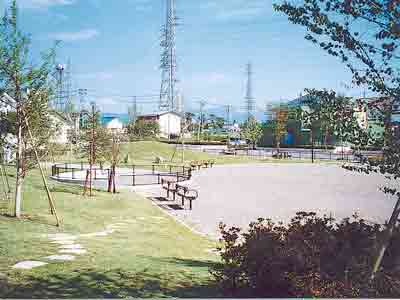 ゆりのき公園の画像