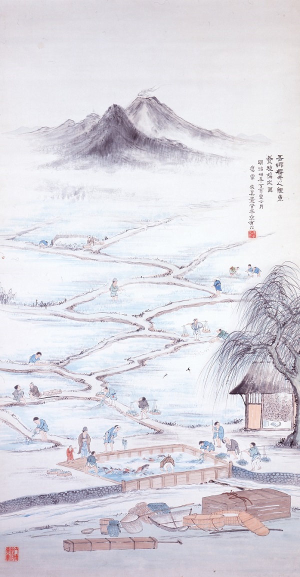 柳澤文眞《吾郷櫻井之鯉魚 養殖場之圖》1897年制作
