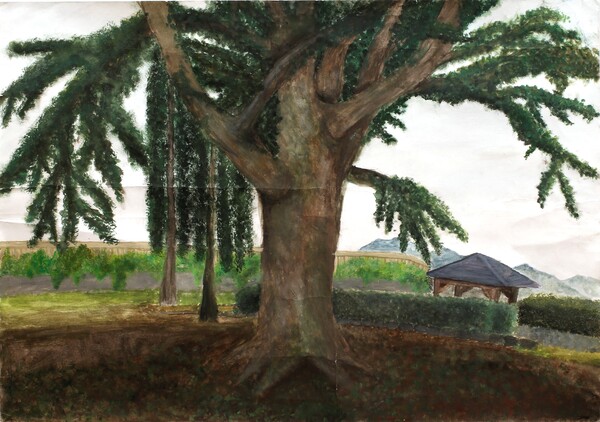 佐久長聖中学校 2学年 土屋舞華《不動》2