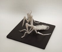 臼田小学校 5学年 津金昊斗《セロハンテープアート カマキリ》1