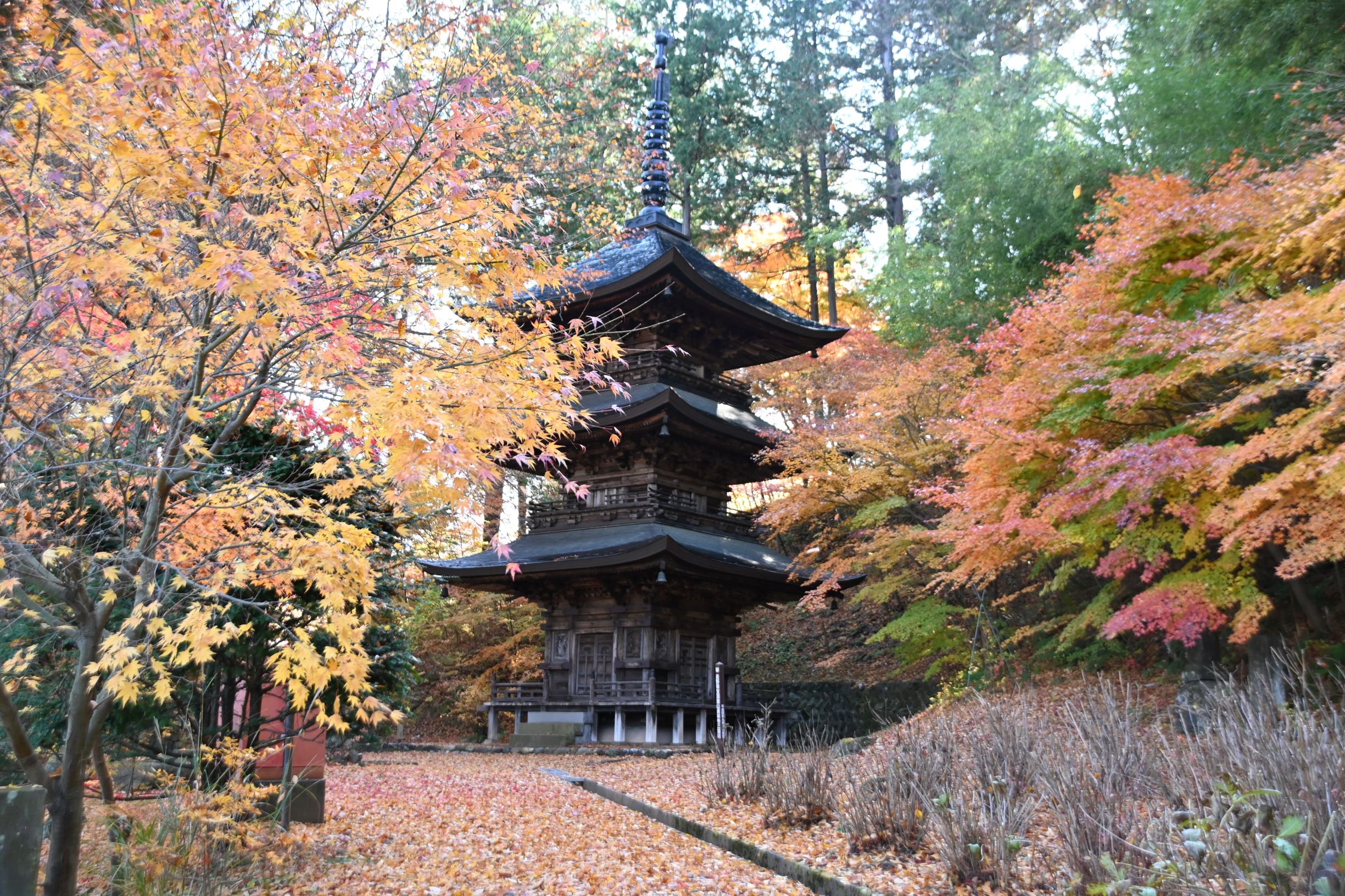 teisho-ji