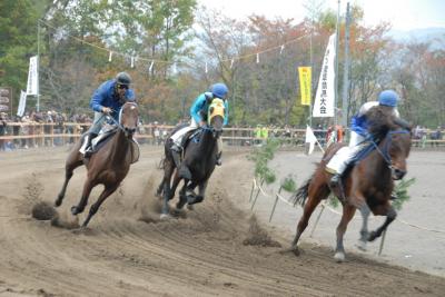 力強く疾走する競走馬の画像