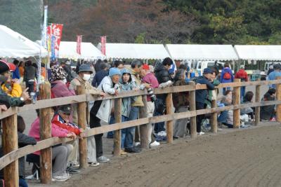 観戦する来場者の皆さんの画像