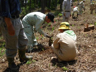 緑の少年団とともに植樹作業を行う市長の画像