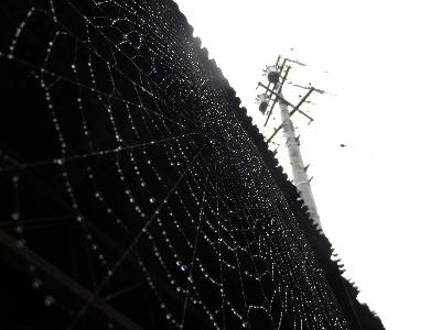 写真部門出品作品「雨の日観覧車」の画像