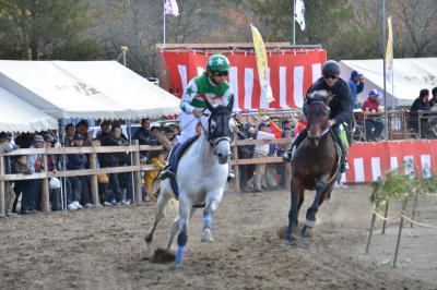 砂煙をあげて疾走する競走馬