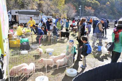 動物ふれあいコーナーで楽しむ子どもたち