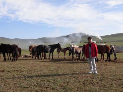 モンゴルの草原の風景の画像