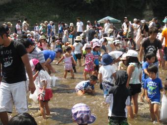 魚のつかみ取りの画像