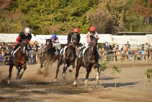 競走馬レースの様子の画像