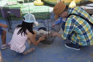 動物ふれあい広場の様子1