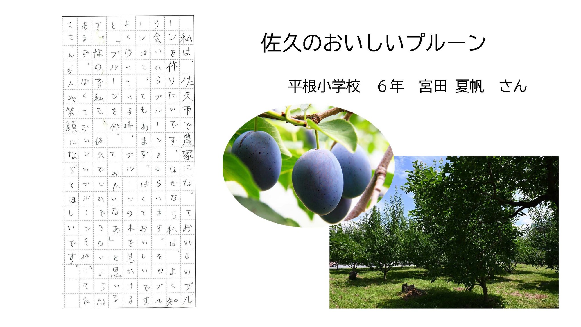 優秀賞作品３