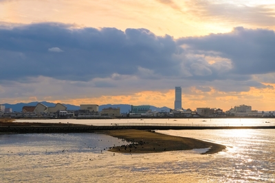 泉佐野市