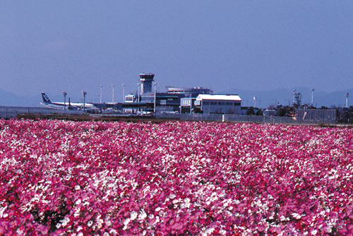 佐賀市の写真