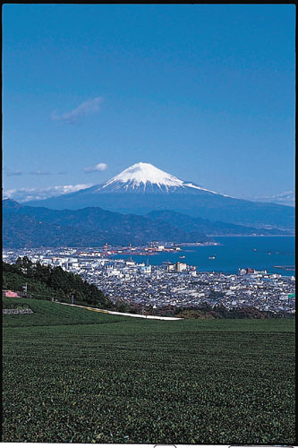 静岡市の写真
