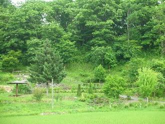 泉公園風景画像その一