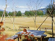 駒場公園多目的広場画像