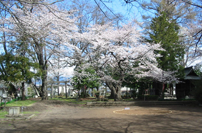 若宮公園風景画像