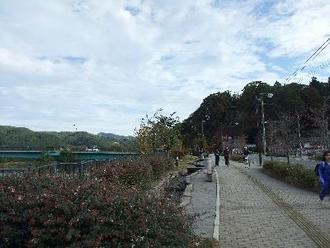 橋詰公園風景画像その一