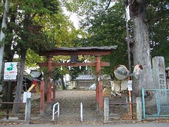 下の宮公園鳥居とけやき画像その一